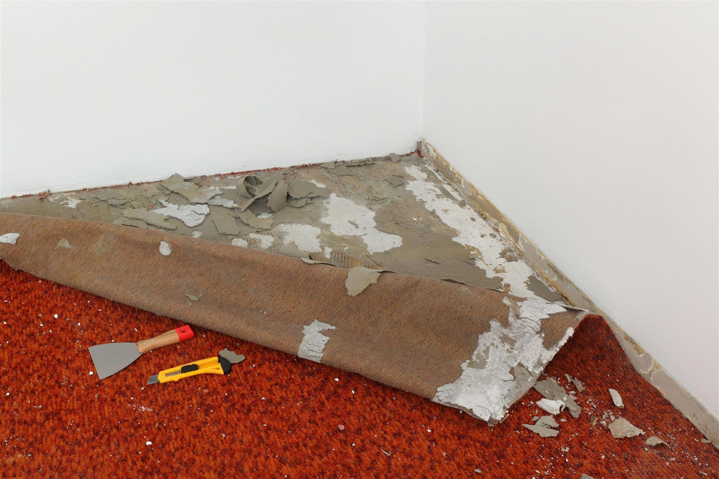 Carpet is being removed under the carpet removal service by junk professionals